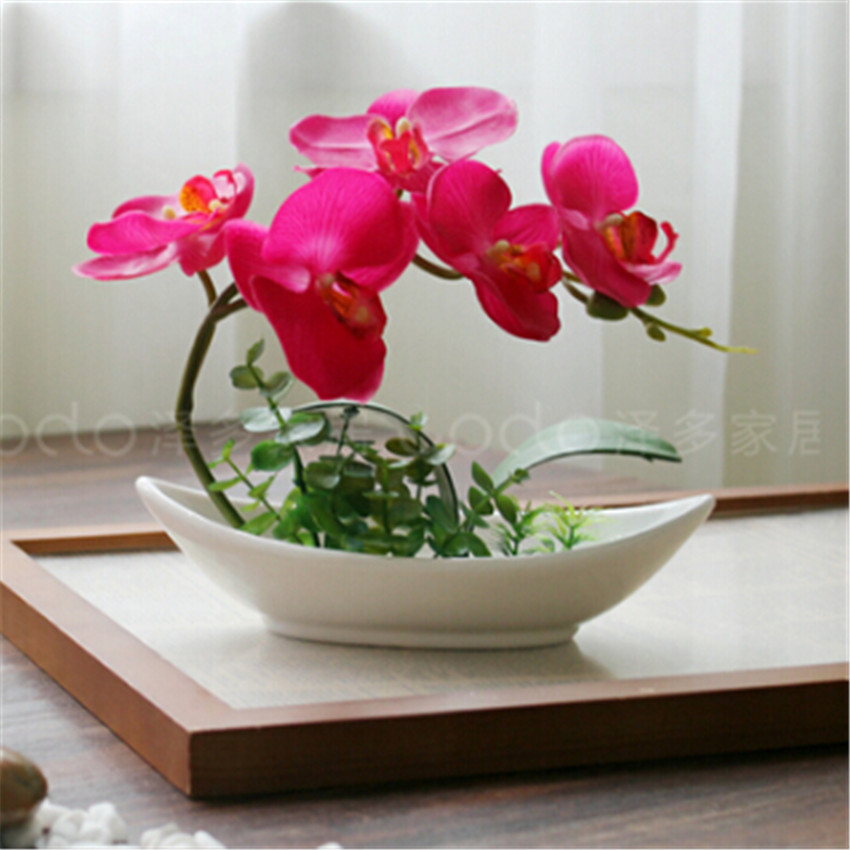 Chậu lan hồ điệp pha lê đá là món quà tốt nhất cho những người thân yêu
